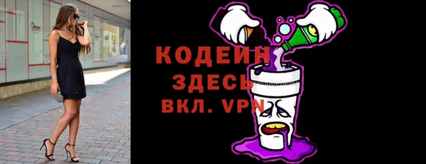 метамфетамин Ельня