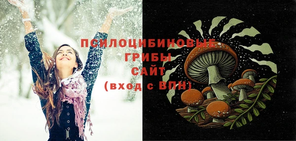 метамфетамин Ельня