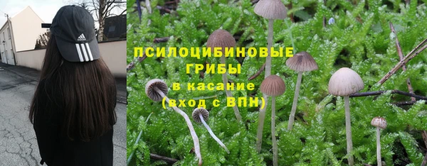 метамфетамин Ельня