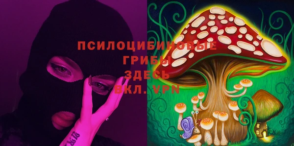 метамфетамин Ельня
